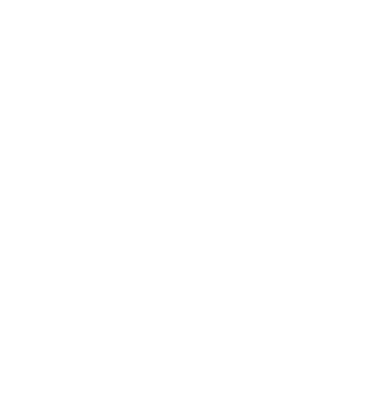 VISMOTO logo